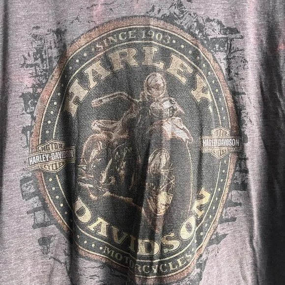 Harley-Davidson Men's dark maroon T-Shirt - Picture 4 of 10